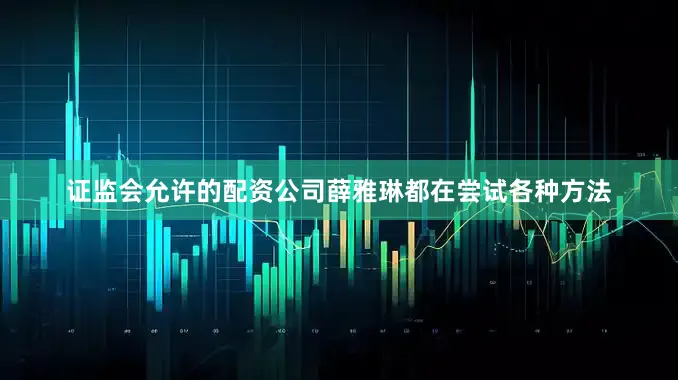 证监会允许的配资公司薛雅琳都在尝试各种方法