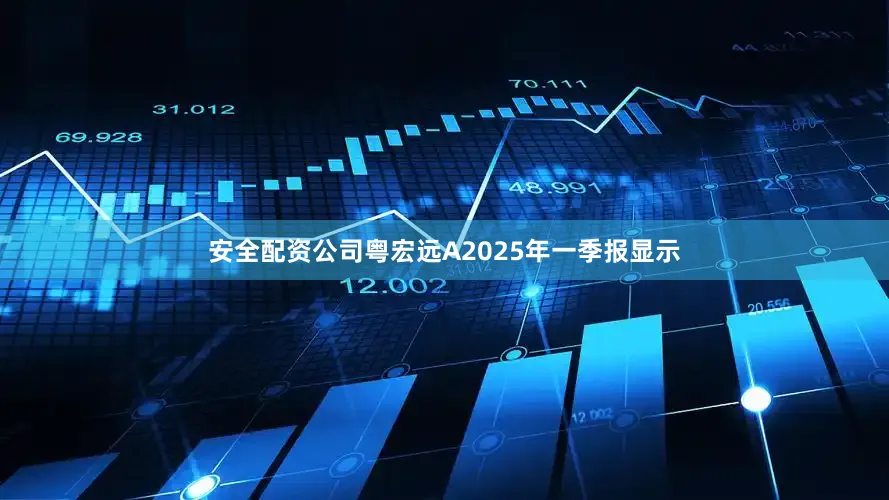安全配资公司粤宏远A2025年一季报显示