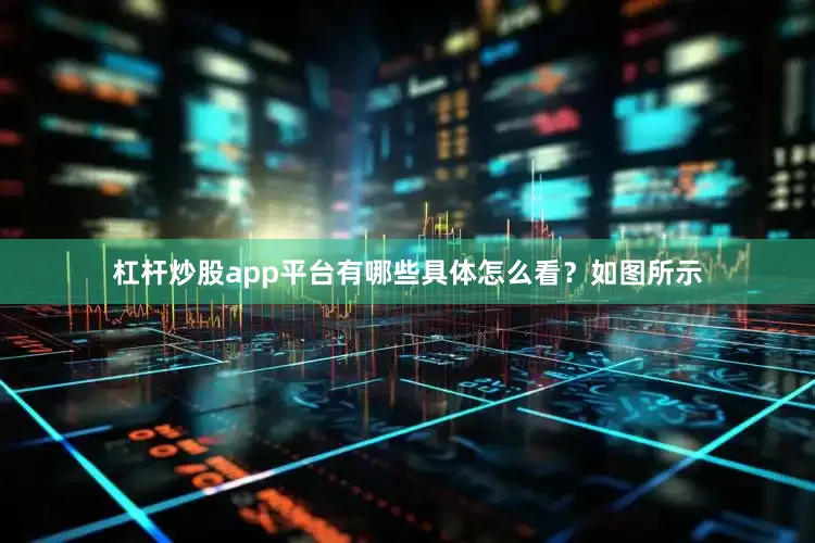杠杆炒股app平台有哪些具体怎么看?如图所示
